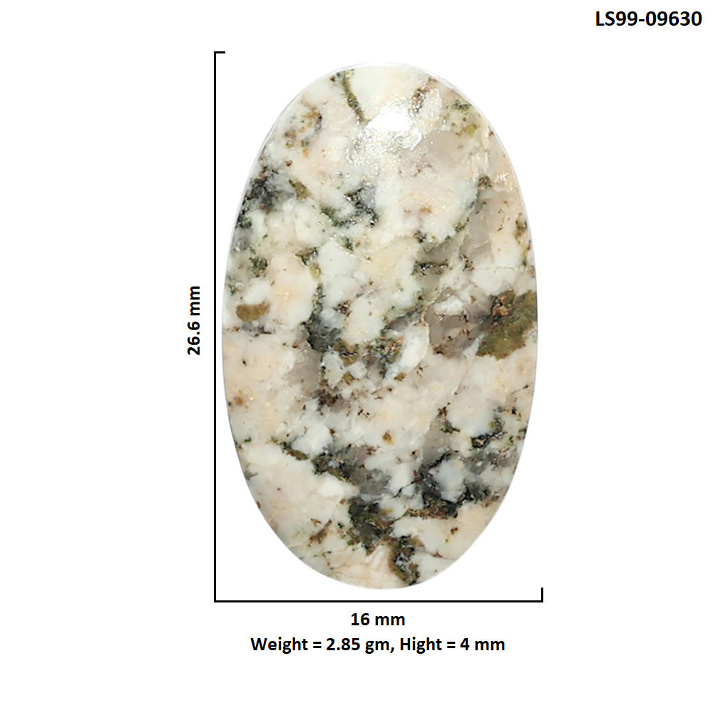 Natural Tree Weed Moss Agate 16x26.6x4 mm Oval Shape Polished Gemstone LS99-09630