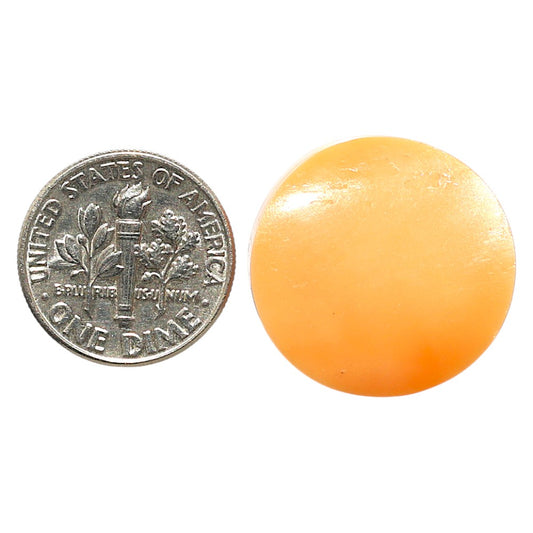 Natural Natural Spiny Oyster Shell 21.3x21.3x5 mm Round Shape Polished Gemstone LS99-09672