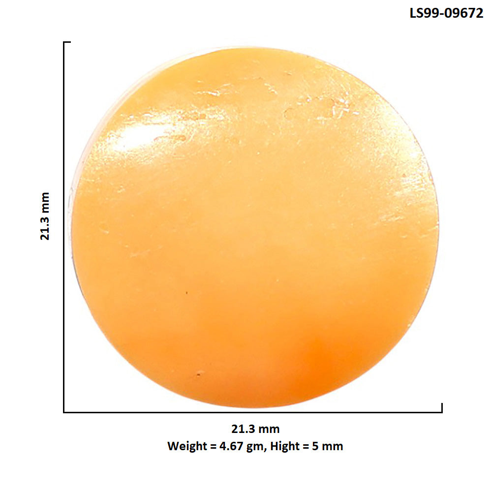 Natural Natural Spiny Oyster Shell 21.3x21.3x5 mm Round Shape Polished Gemstone LS99-09672