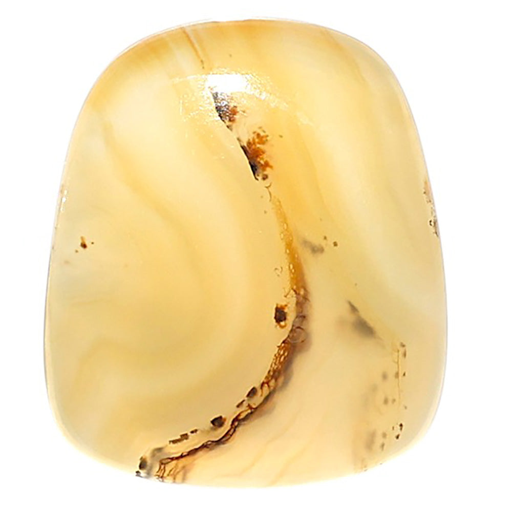 Natural Montana Agate 20.75x24.2x5 mm Fancy Shape Polished Gemstone LS99-09684