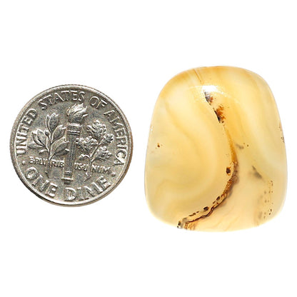 Natural Montana Agate 20.75x24.2x5 mm Fancy Shape Polished Gemstone LS99-09684