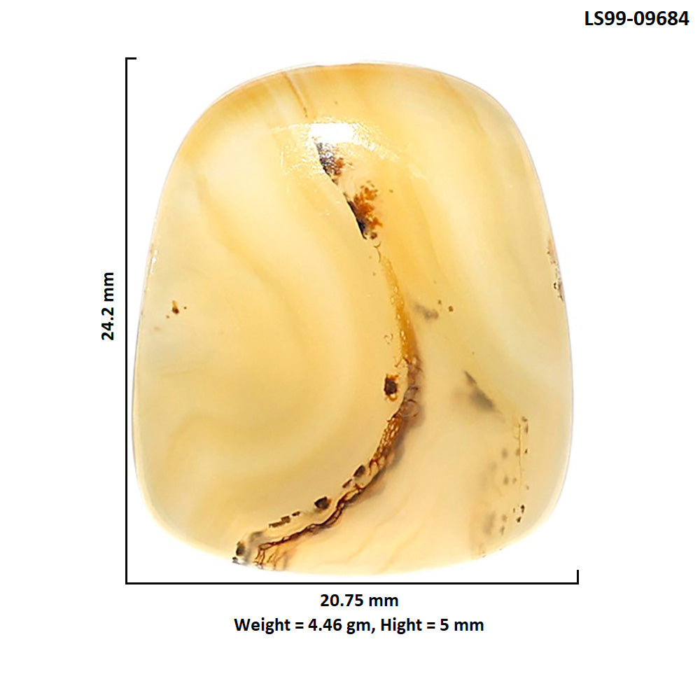 Natural Montana Agate 20.75x24.2x5 mm Fancy Shape Polished Gemstone LS99-09684