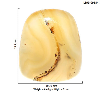 Natural Montana Agate 20.75x24.2x5 mm Fancy Shape Polished Gemstone LS99-09684