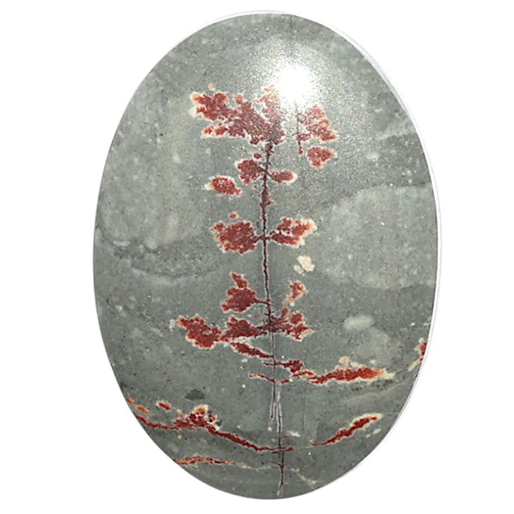 Natural Sonora Dendritic 19x26.8x4.3 mm Oval Shape Polished Gemstone LS99-09711
