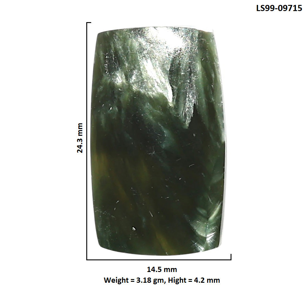 Natural Russian Seraphinite 14.5x24.3x4.2 mm Cushion Shape Polished Gemstone LS99-09715