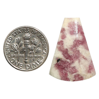 Natural Pink Tourmaline in Quartz 18.2x24.65x4.3 mm Fancy Shape Polished Gemstone LS99-09717