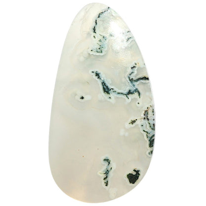 Natural Horse Canyon Moss Agate 19.3x36.6x4.5 mm Fancy Shape Polished Gemstone LS99-09741