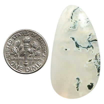 Natural Horse Canyon Moss Agate 19.3x36.6x4.5 mm Fancy Shape Polished Gemstone LS99-09741