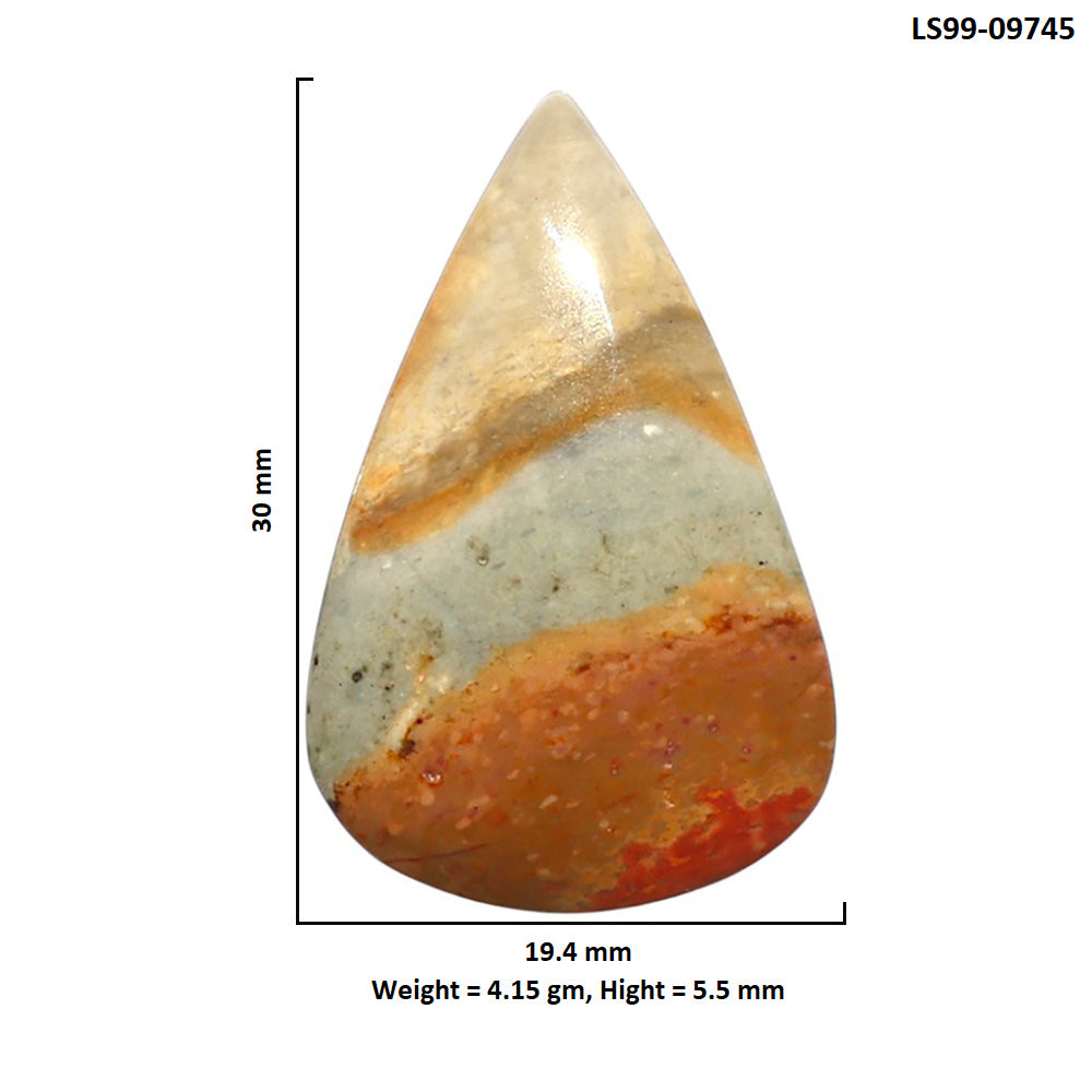 Natural Polygram Jasper 19.4x30x5.5 mm Pear Shape Polished Gemstone LS99-09745