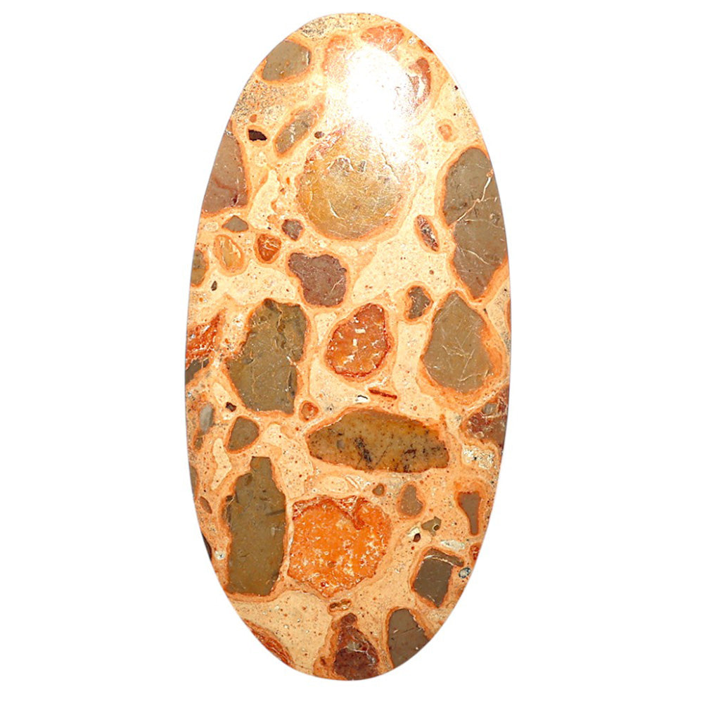 Natural Leopardite Jasper 25.9x52.6x5.5 mm Oval Shape Polished Gemstone LS99-09754