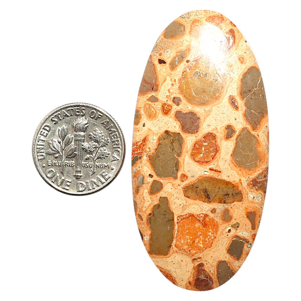 Natural Leopardite Jasper 25.9x52.6x5.5 mm Oval Shape Polished Gemstone LS99-09754