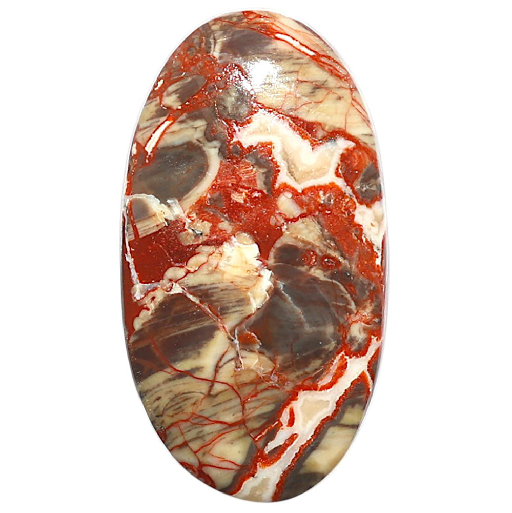 Natural Money Agate 18x33x5.3 mm Oval Shape Polished Gemstone LS99-09757