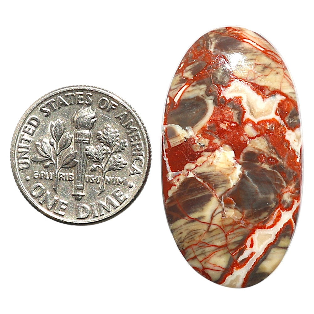 Natural Money Agate 18x33x5.3 mm Oval Shape Polished Gemstone LS99-09757