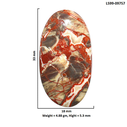 Natural Money Agate 18x33x5.3 mm Oval Shape Polished Gemstone LS99-09757