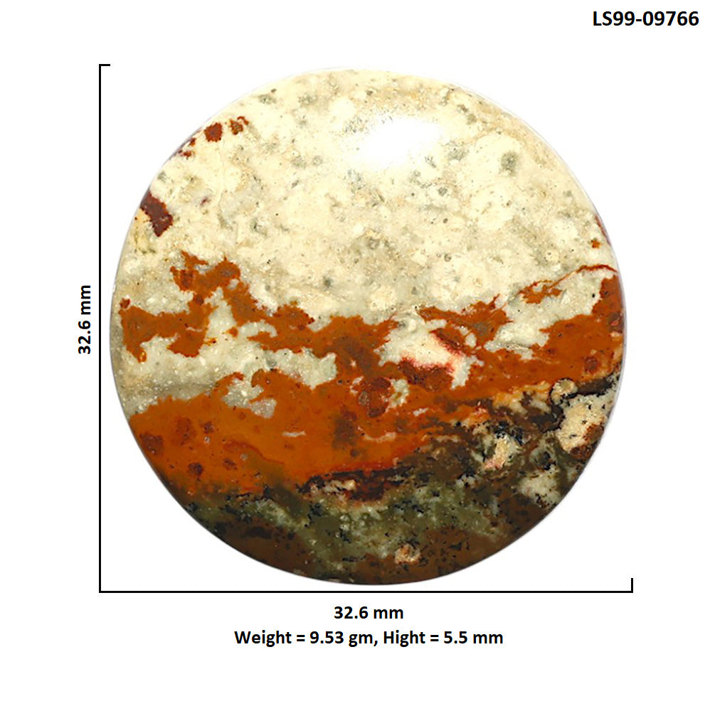 Natural Rocky Butte Picture Jasper 32.6x32.6x5.5 mm Round Shape Polished Gemstone LS99-09766