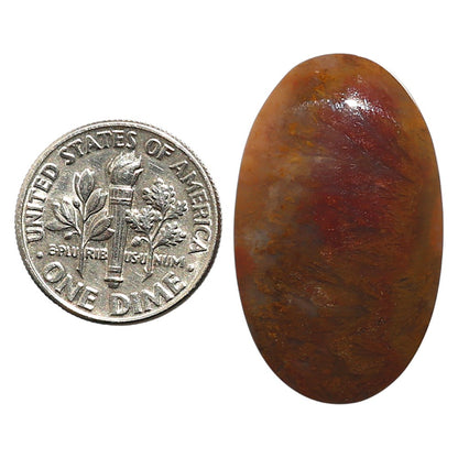 Natural Oregon Moss Agate 18x30x5.5 mm Oval Shape Polished Gemstone LS99-09769