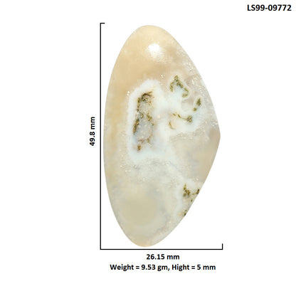Natural Horse Canyon Moss Agate 26.15x49.8x5 mm Fancy Shape Polished Gemstone LS99-09772