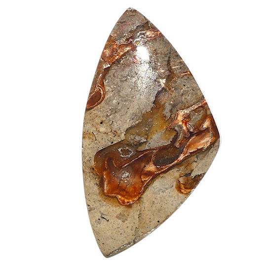 Natural Rock Calcy 18.6x34x5 mm Fancy Shape Polished Gemstone LS99-09776
