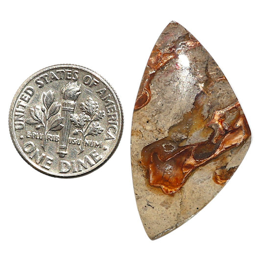 Natural Rock Calcy 18.6x34x5 mm Fancy Shape Polished Gemstone LS99-09776