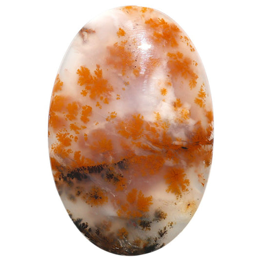 Natural Robinson Ranch Plume Agate 32.6x49.15x6.3 mm Oval Shape Polished Gemstone LS99-09783