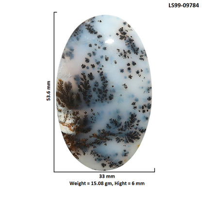 Natural Robinson Ranch Plume Agate 33x53.6x6 mm Oval Shape Polished Gemstone LS99-09784