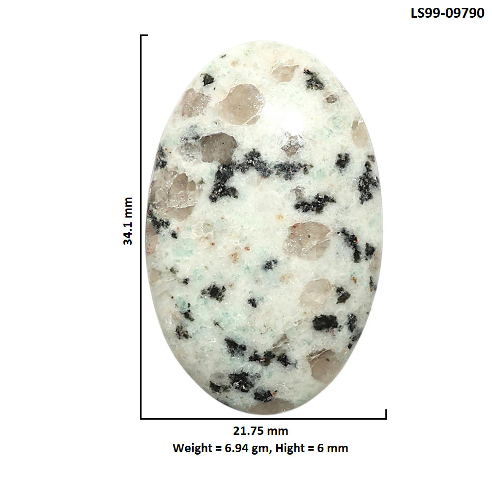 Natural Sesame Jasper 21.75x34.1x6 mm Oval Shape Polished Gemstone LS99-09790