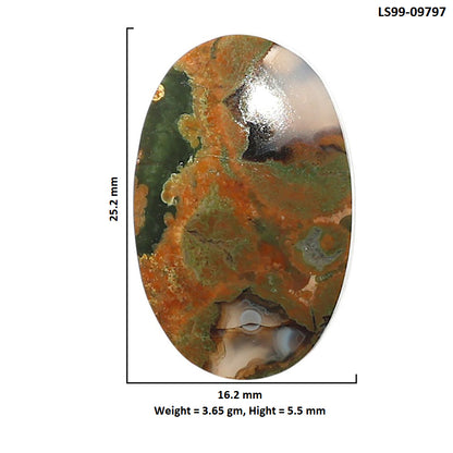 Natural Rhyolite - Rainforest Jasper 16.2x25.2x5.5 mm Oval Shape Polished Gemstone LS99-09797