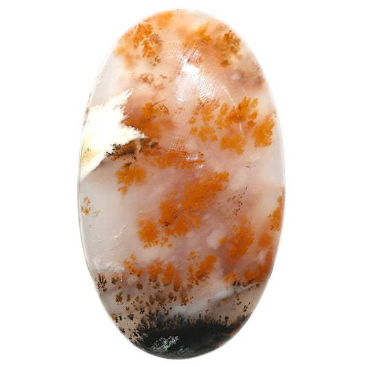 Natural Robinson Ranch Plume Agate 27.45x46.45x7.5 mm Oval Shape Polished Gemstone LS99-09810