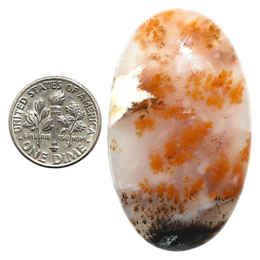 Natural Robinson Ranch Plume Agate 27.45x46.45x7.5 mm Oval Shape Polished Gemstone LS99-09810