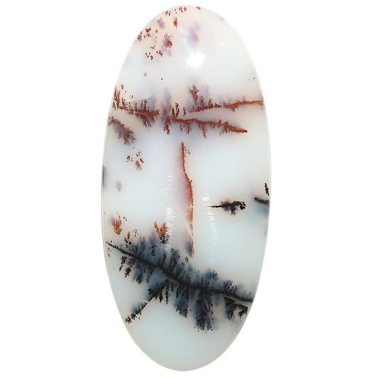 Natural Robinson Ranch Plume Agate 25.25x54.45x5 mm Oval Shape Polished Gemstone LS99-09820