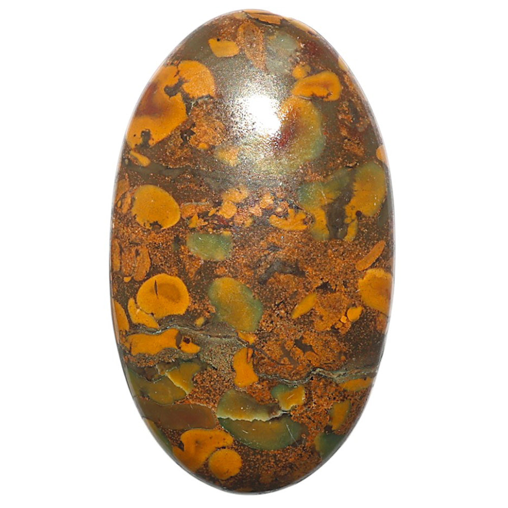 Natural Bamboo Jasper 25.25x42.65x7 mm Oval Shape Polished Gemstone LS99-09821