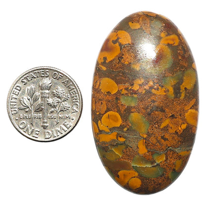 Natural Bamboo Jasper 25.25x42.65x7 mm Oval Shape Polished Gemstone LS99-09821