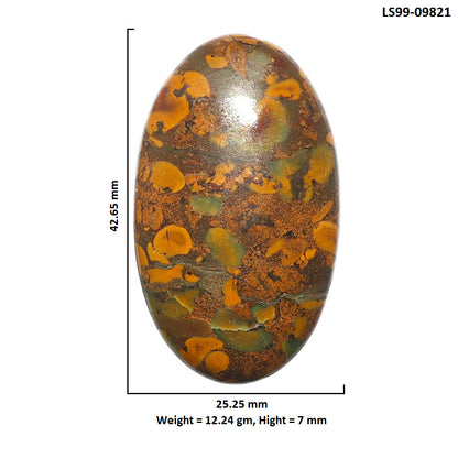 Natural Bamboo Jasper 25.25x42.65x7 mm Oval Shape Polished Gemstone LS99-09821