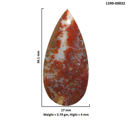 Natural Red Moss Agate 17x36.1x4 mm Pear Shape Polished Gemstone LS99-09832