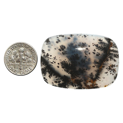 Natural Robinson Ranch Plume Agate 29x41x7.5 mm Cushion Shape Polished Gemstone LS99-09845