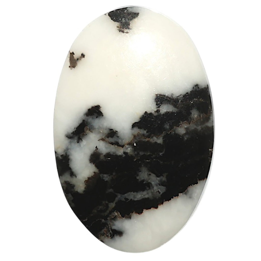 Natural Black Zebra Jasper 18x27.4x4.8 mm Oval Shape Polished Gemstone LS99-09846