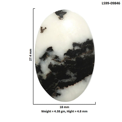 Natural Black Zebra Jasper 18x27.4x4.8 mm Oval Shape Polished Gemstone LS99-09846