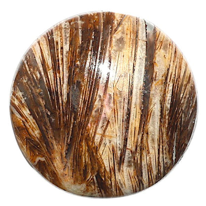 Natural Tube Agate 25.2x25.2x6 mm Round Shape Polished Gemstone LS99-09866