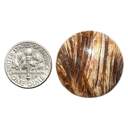 Natural Tube Agate 25.2x25.2x6 mm Round Shape Polished Gemstone LS99-09866