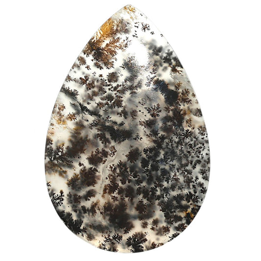Natural Robinson Ranch Plume Agate 25.3x37.9x4.3 mm Pear Shape Polished Gemstone LS99-09873