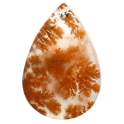 Natural Robinson Ranch Plume Agate 17.2x25.7x5 mm Pear Shape Polished Gemstone LS99-09911
