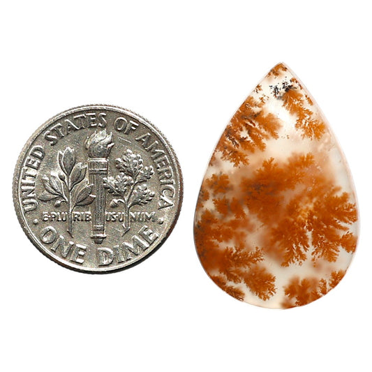 Natural Robinson Ranch Plume Agate 17.2x25.7x5 mm Pear Shape Polished Gemstone LS99-09911