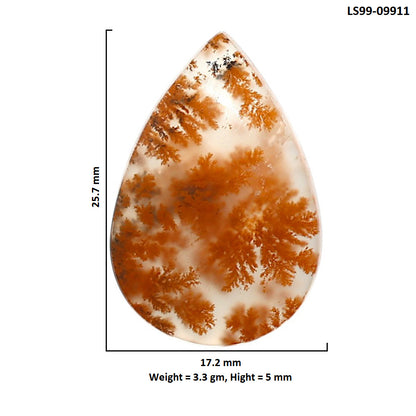 Natural Robinson Ranch Plume Agate 17.2x25.7x5 mm Pear Shape Polished Gemstone LS99-09911