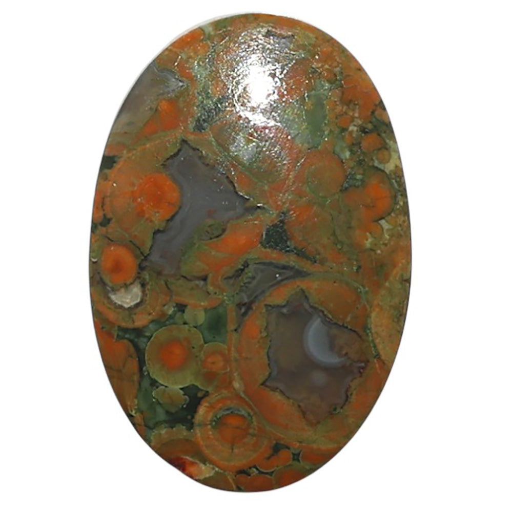Natural Rhyolite - Rainforest Jasper 16.1x24x4 mm Oval Shape Polished Gemstone LS99-09921