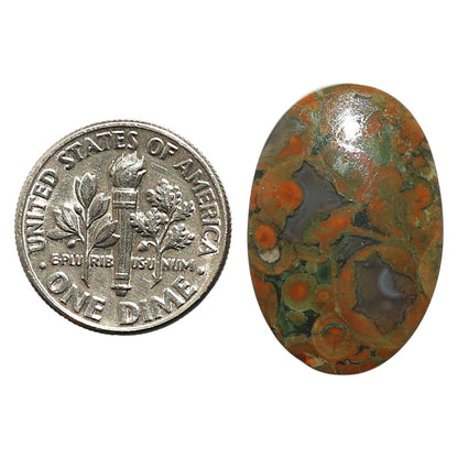 Natural Rhyolite - Rainforest Jasper 16.1x24x4 mm Oval Shape Polished Gemstone LS99-09921