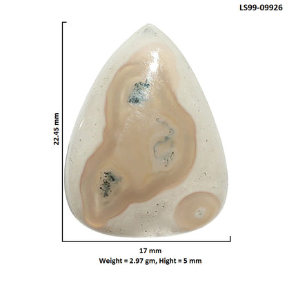Natural Horse Canyon Moss Agate 17x22.45x5 mm Fancy Shape Polished Gemstone LS99-09926