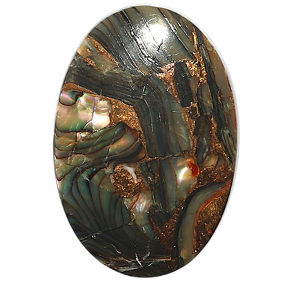 Natural Copper Abalone Shell 19.6x28.85x4.3 mm Oval Shape Polished Gemstone LS99-09928