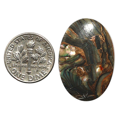 Natural Copper Abalone Shell 19.6x28.85x4.3 mm Oval Shape Polished Gemstone LS99-09928