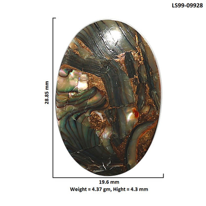 Natural Copper Abalone Shell 19.6x28.85x4.3 mm Oval Shape Polished Gemstone LS99-09928