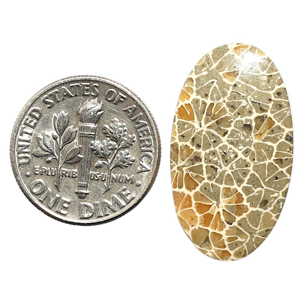 Natural Flower Fossil Coral 14.4x25.35x3.8 mm Pear Shape Polished Gemstone LS99-09930